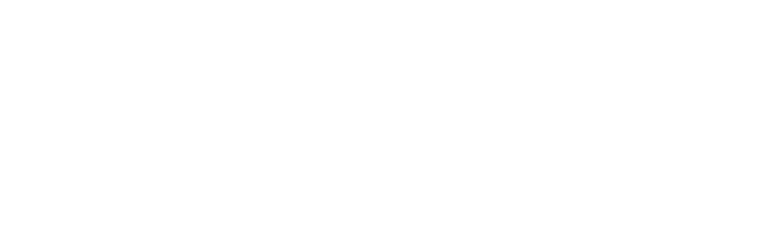 Copy of sp-logo-RGB NEG (1)